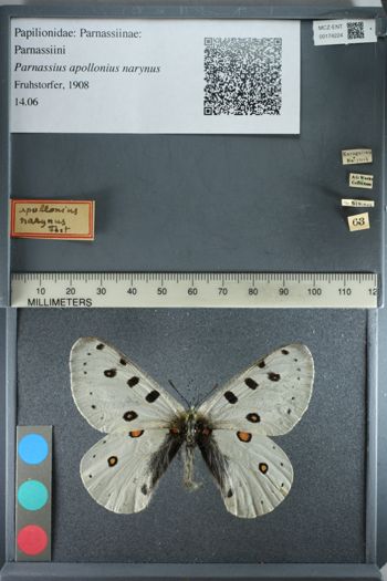 Media type: image;   Entomology 174224